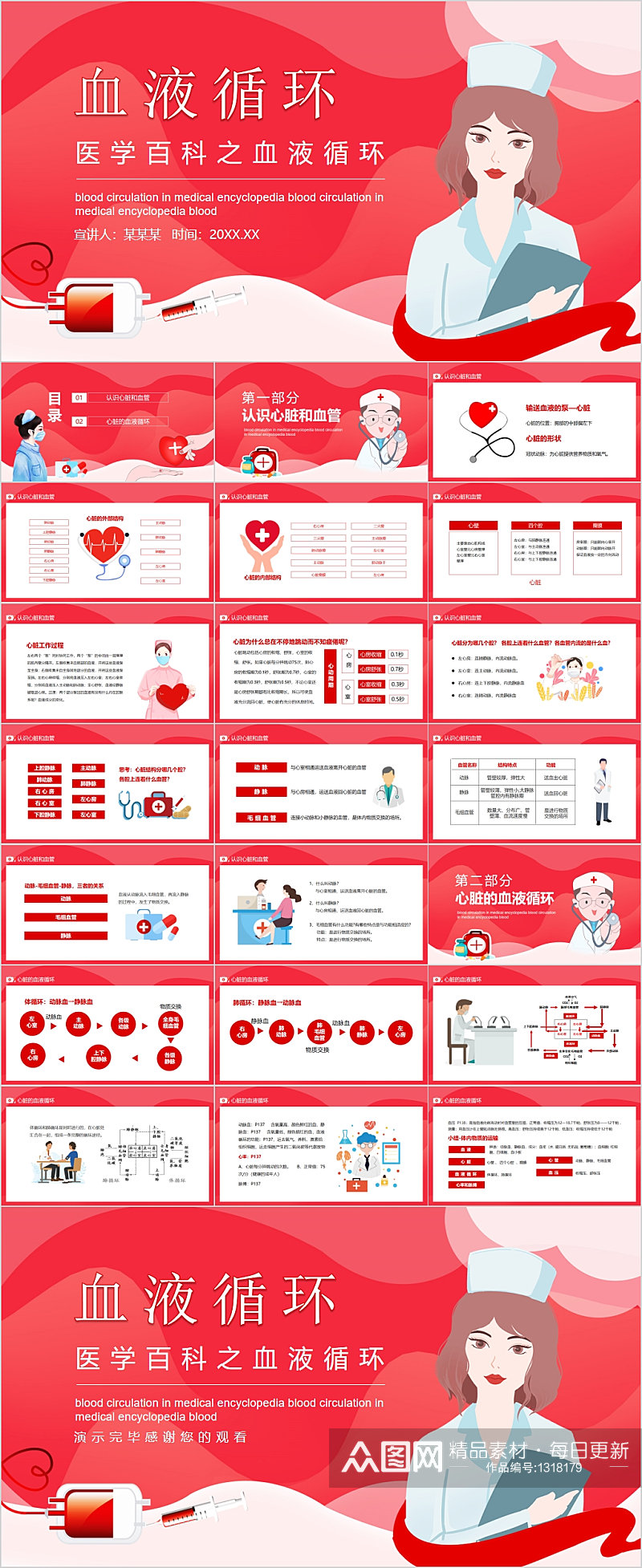 医学百科之血液循环PPT素材