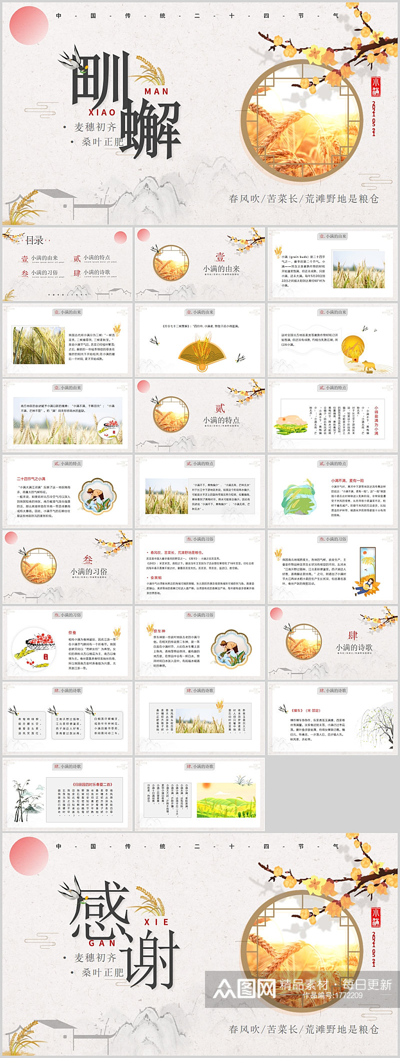 秋季传统节气麦穗PPT素材