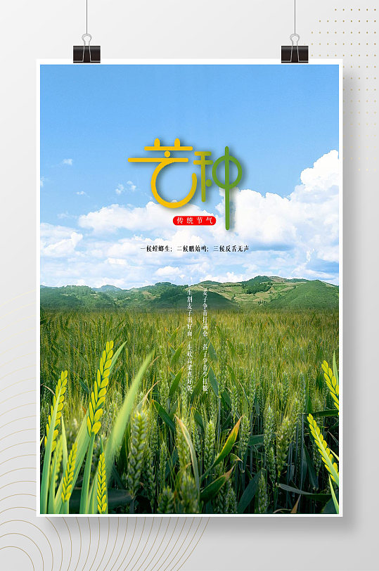 绿色稻田风景芒种节气海报