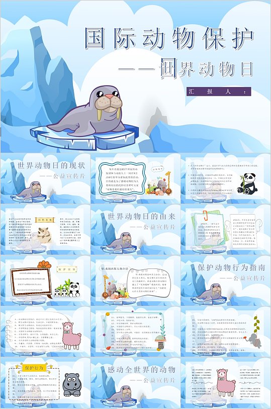 国际动物保护日蓝色海狮PPT