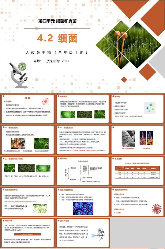 人教版生物课件细菌PPT模版