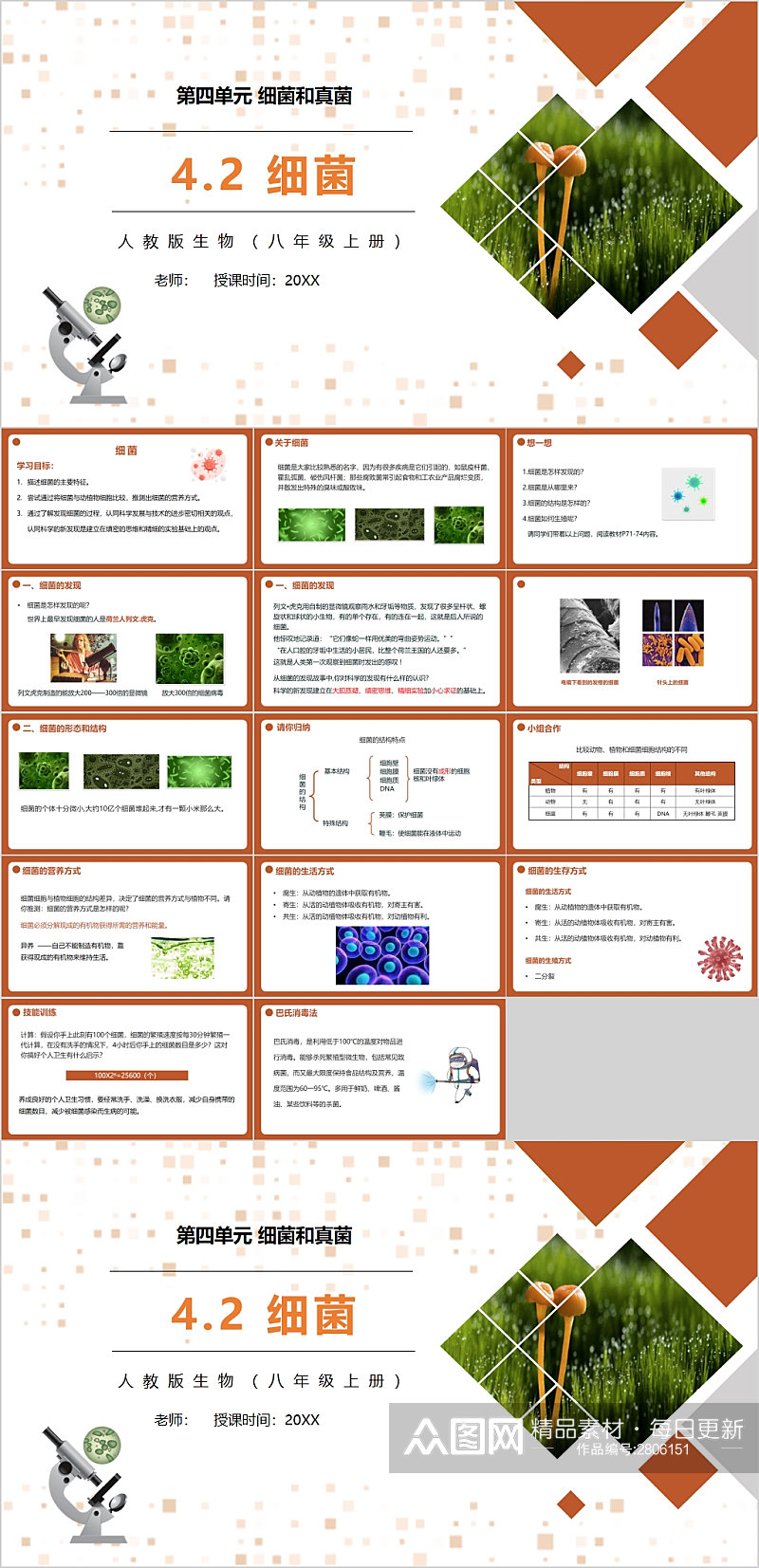 人教版生物课件细菌PPT模版素材