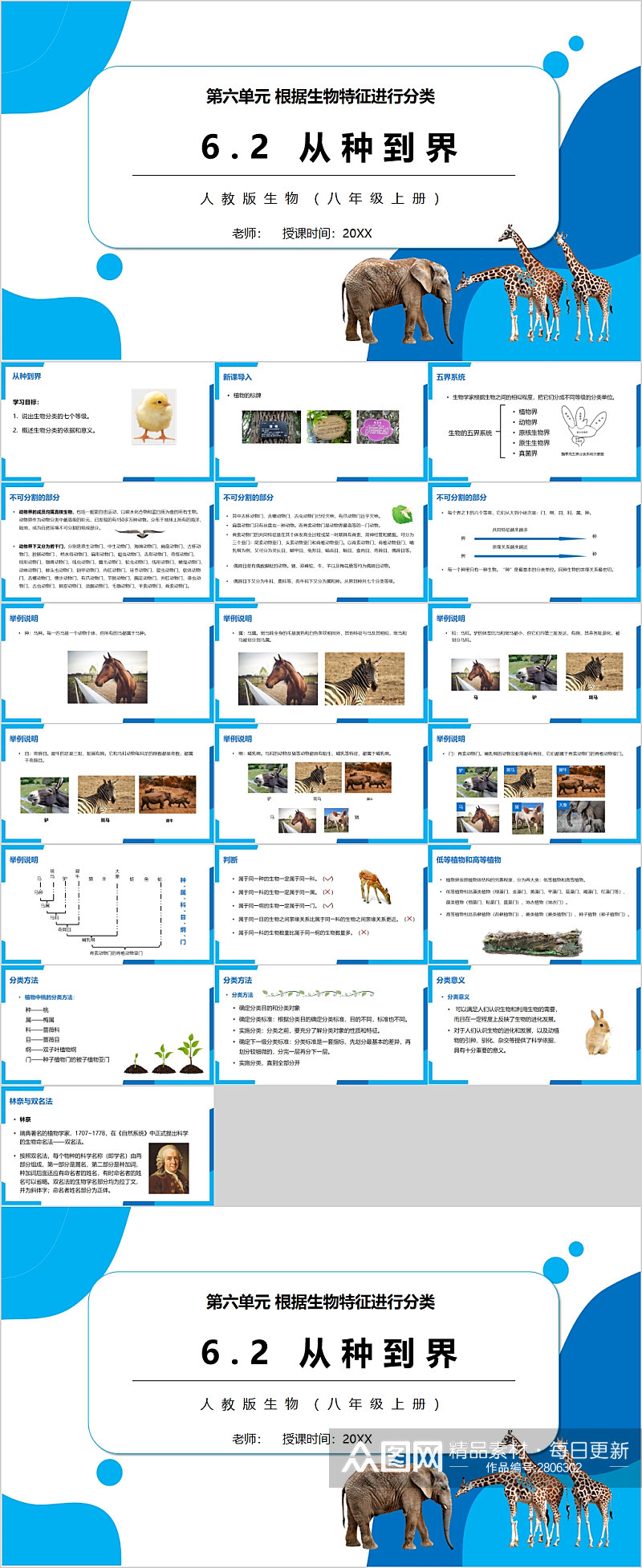 从种到界生物分类PPT模版素材