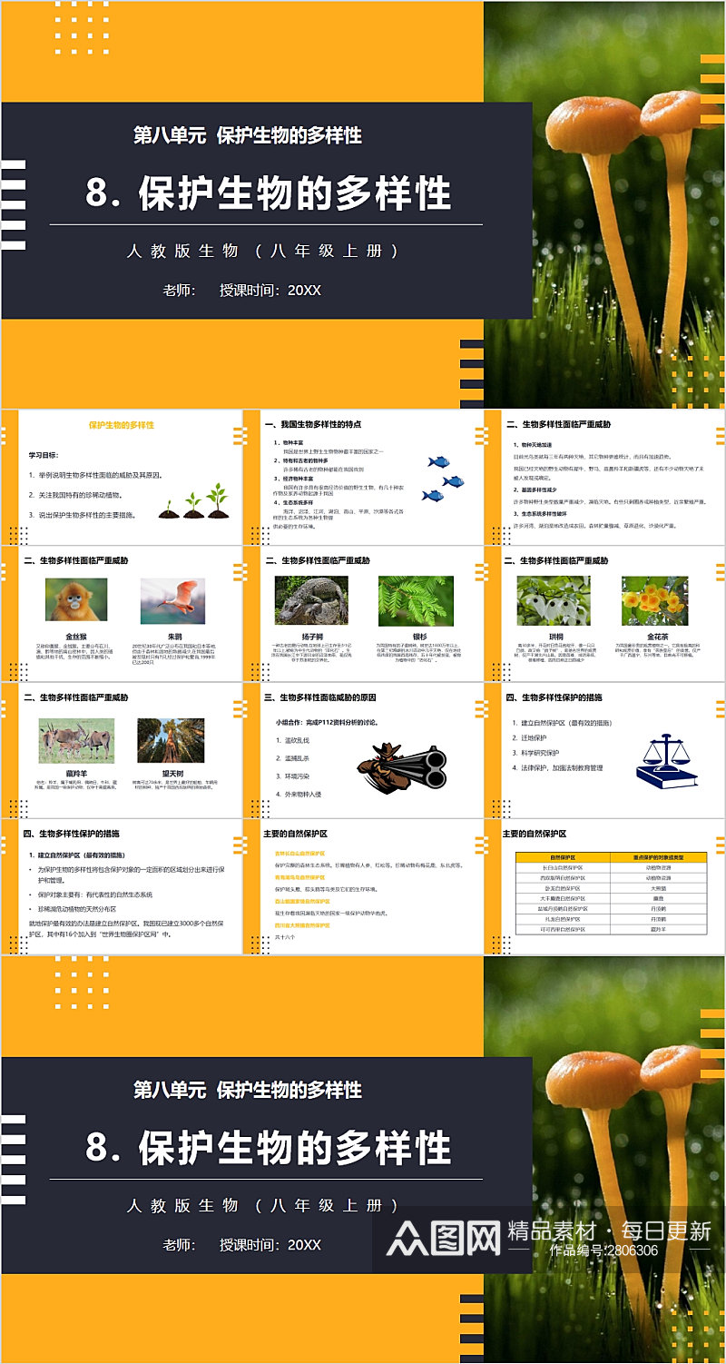 保护生物的多样性时尚课件PPT素材