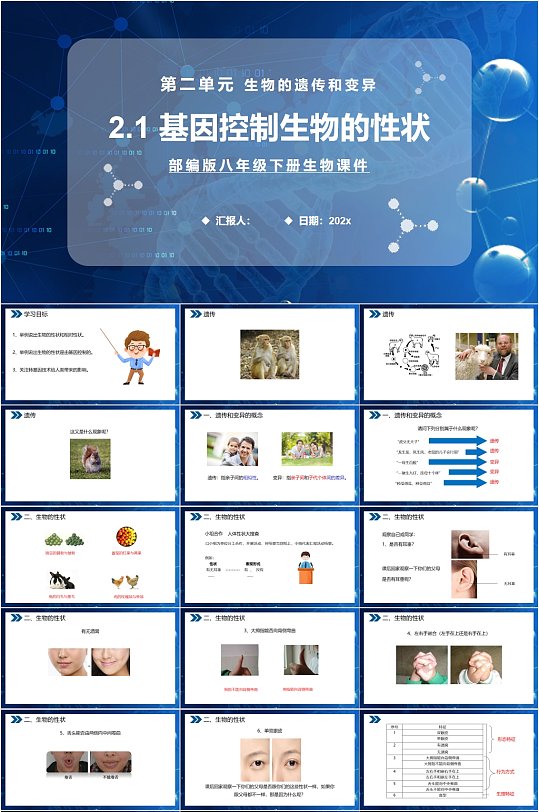 基因控制生物的性状蓝色生物课件PPT