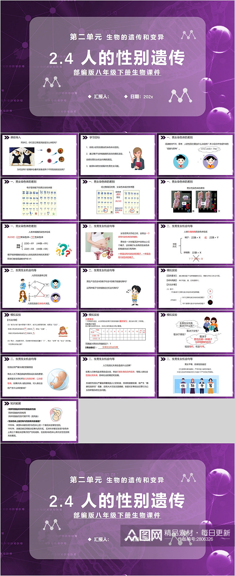 人的性别遗传校园课件PPT素材