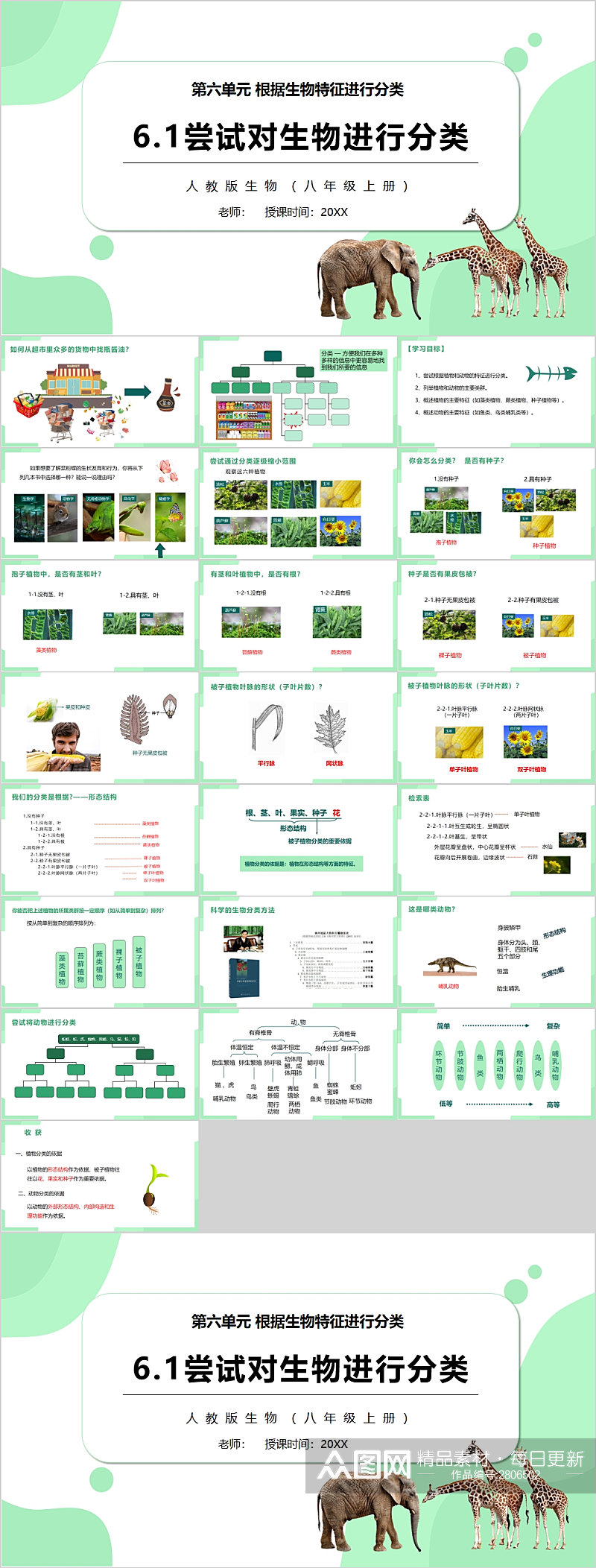 尝试对生物进行分类生物课件PPT素材