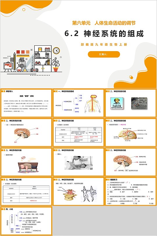 神经系统的组成卡通生物课件PPT