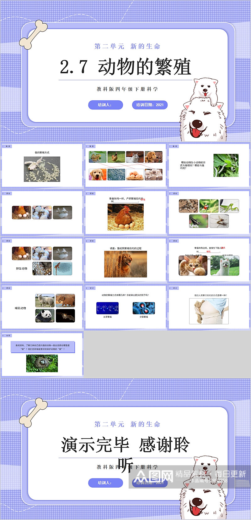 动物的繁殖校园生物课件PPT素材