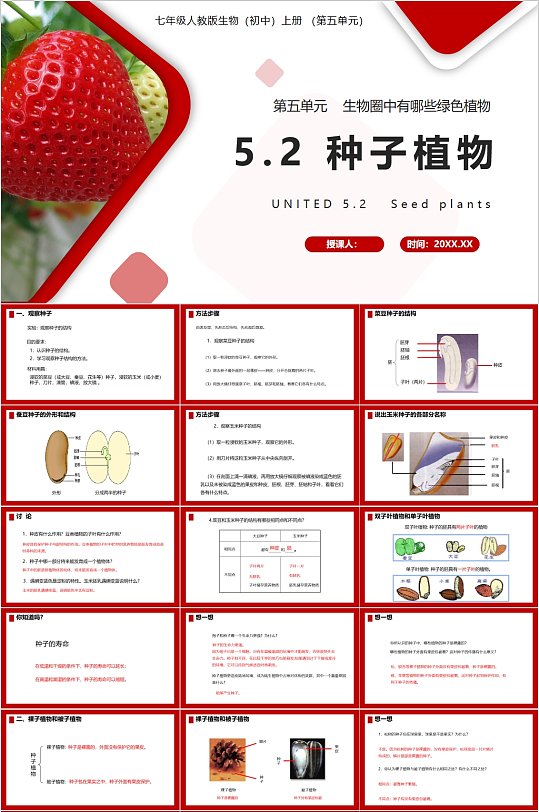 种子植物生物课件学习PPT