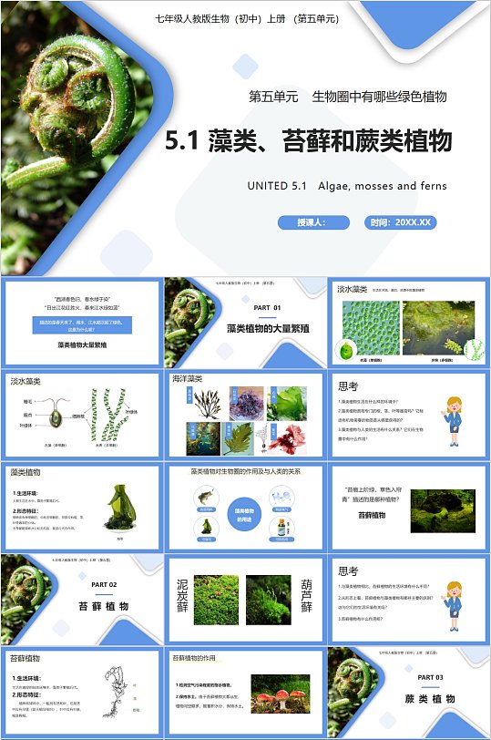 藻类苔藓和蕨类植物生物课件PPT