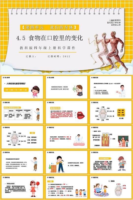 食物在口腔里的变化教学课件PPT