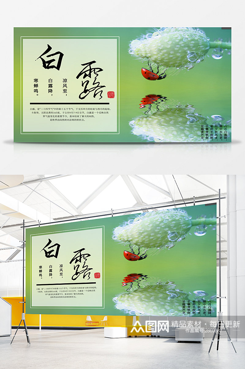 夏季七星瓢虫白露节气展板素材