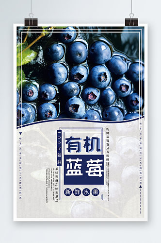 简约有机蓝莓水果店图片海报