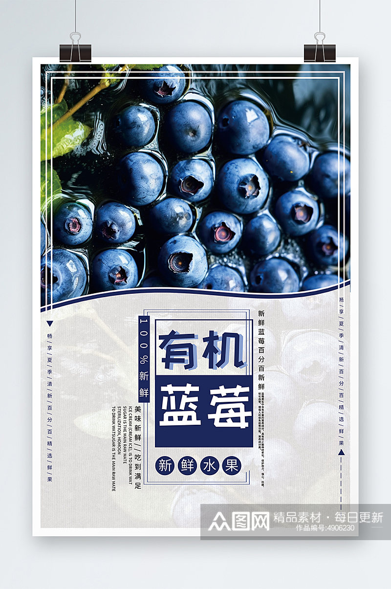 简约有机蓝莓水果店图片海报素材