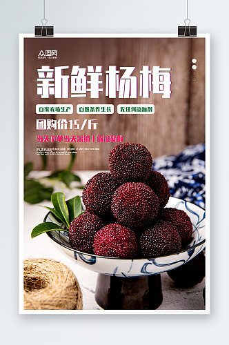 农家新鲜杨梅夏季水果果园促销海报