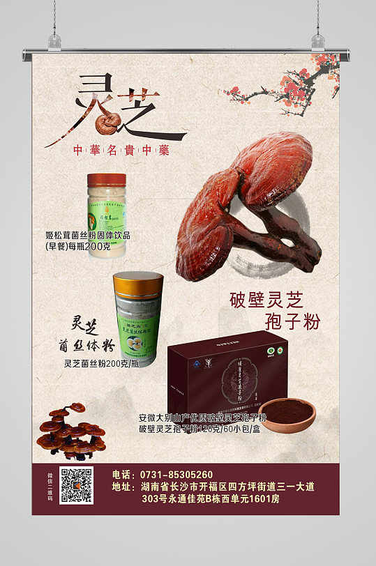 破壁灵芝孢子粉宣传海报
