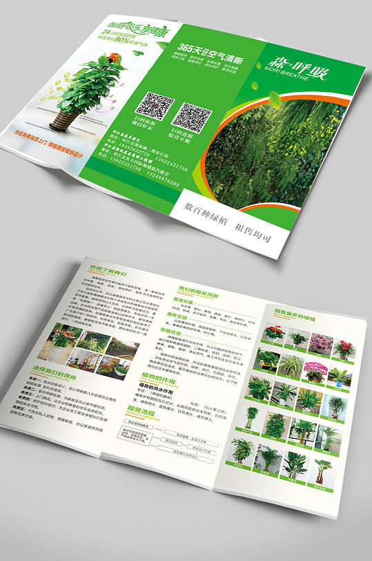 绿色植物盆景三折页