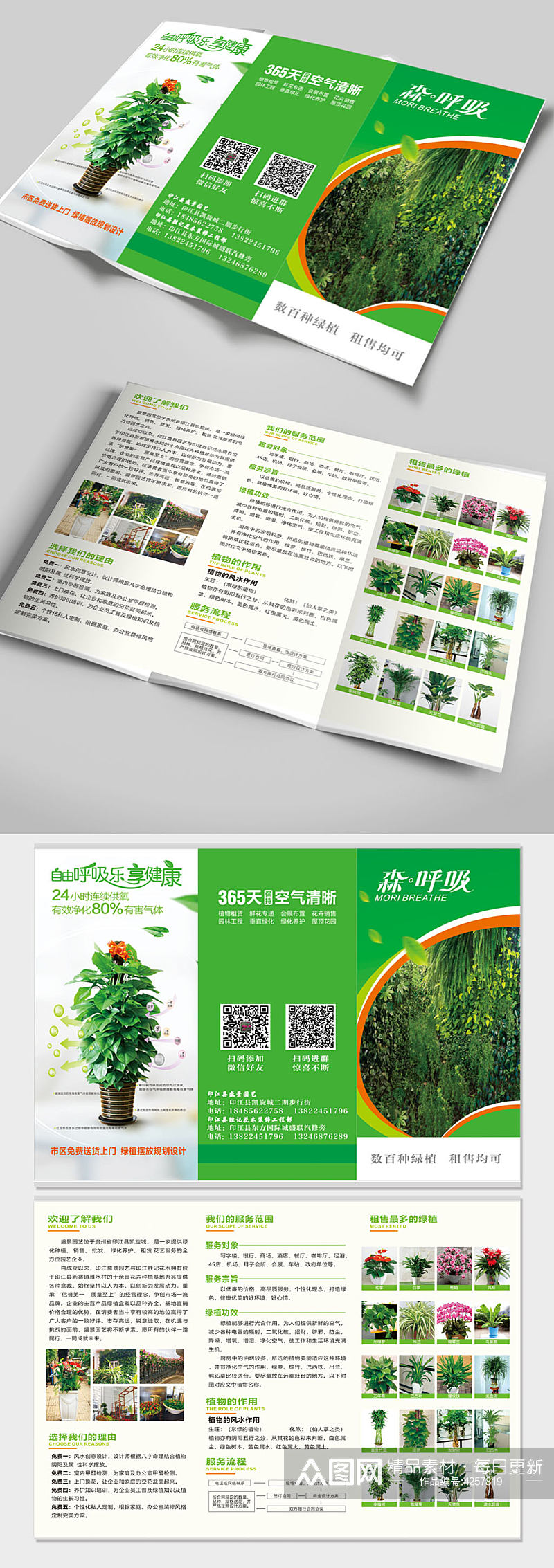 绿色植物盆景三折页素材