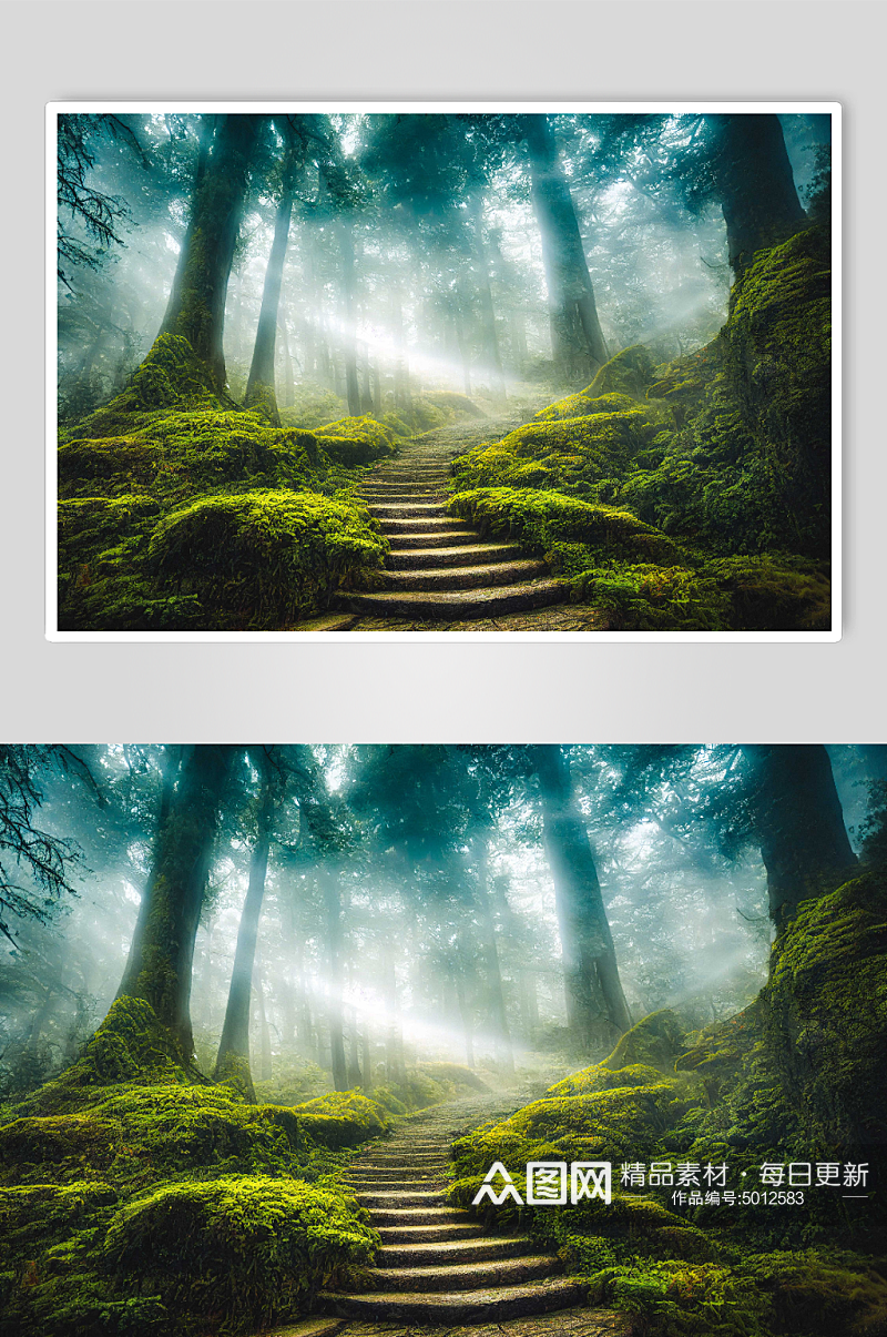 神秘梦幻森林背景图片素材