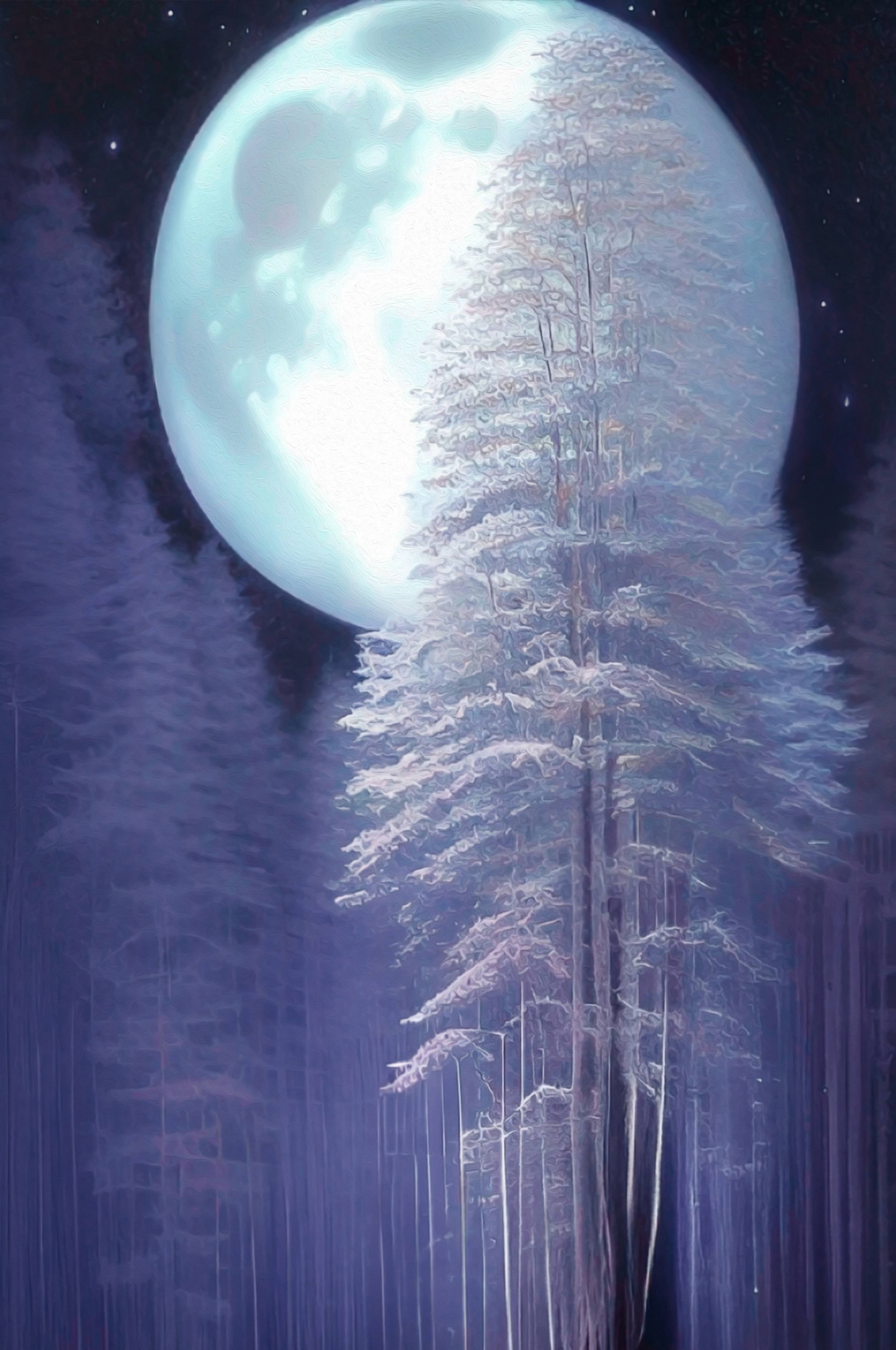 梦幻冬季夜晚月亮背景素材
