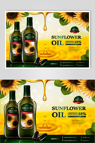 矢量橄榄油植物油海报