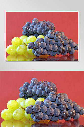 葡萄种植实拍摄影图片