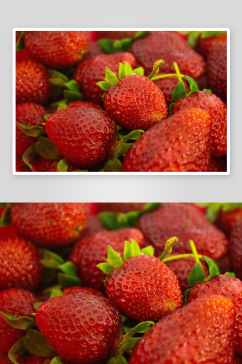 新鲜草莓静物摄影