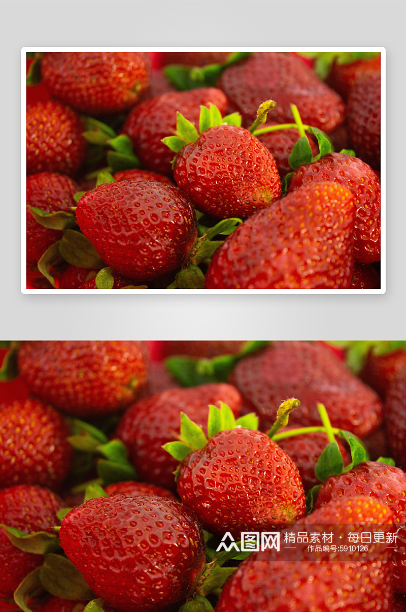 新鲜草莓静物摄影素材