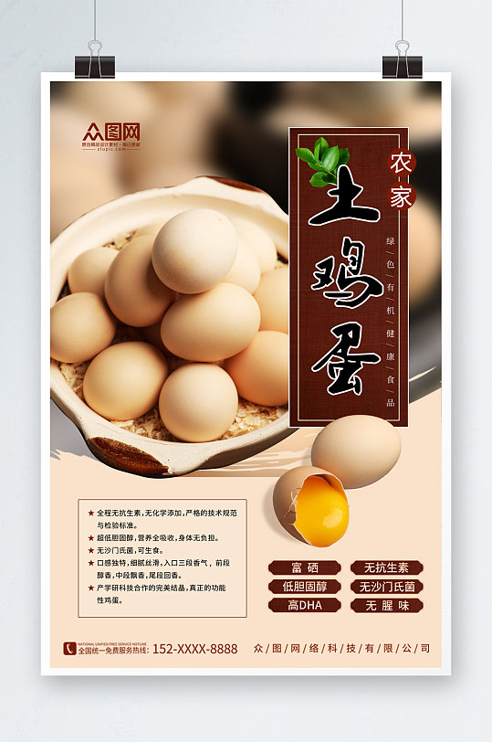 简约农家土鸡蛋宣传海报