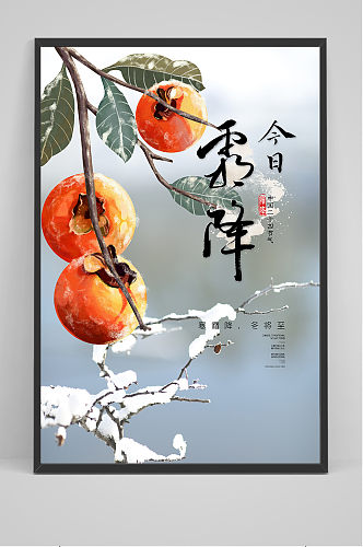 创意清新中国风霜降海报
