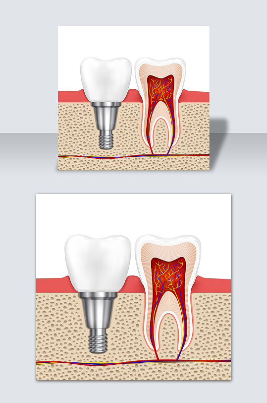 手绘卡通牙齿结构口腔科矢量元素