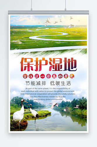 清新保护湿地环保宣传海报设计