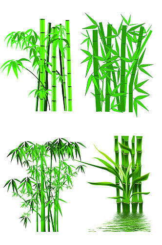 精美植物竹子免扣素材