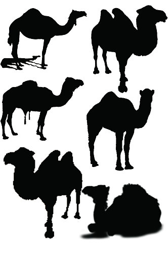 精美动物剪影免扣素材骆驼素材