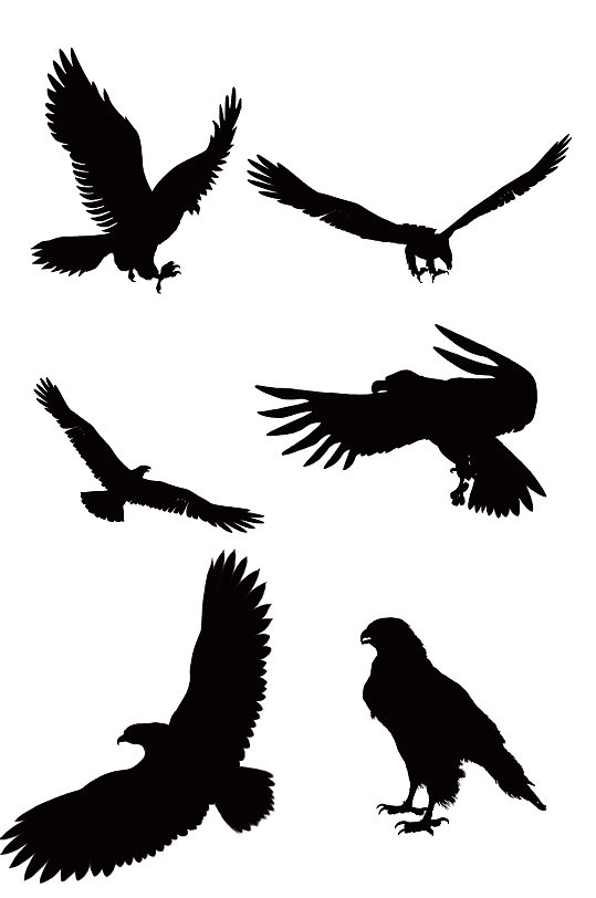 精美动物老鹰剪影免扣元素