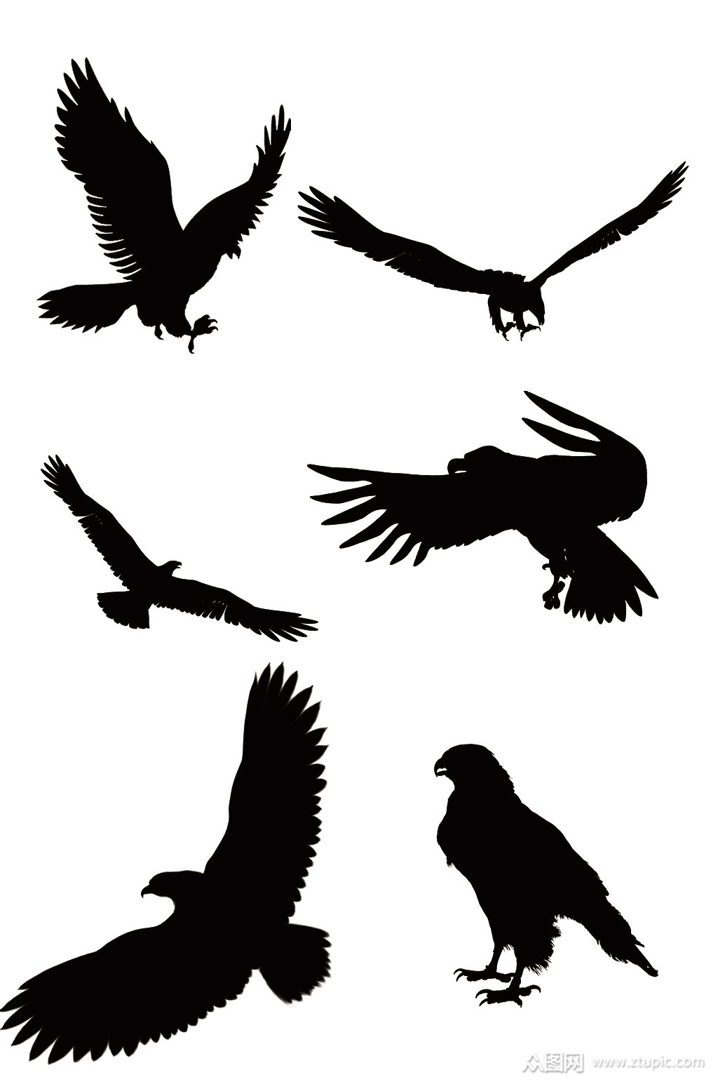 精美动物老鹰剪影免扣元素