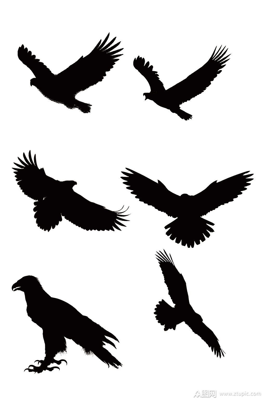 精美动物老鹰剪影免扣元素