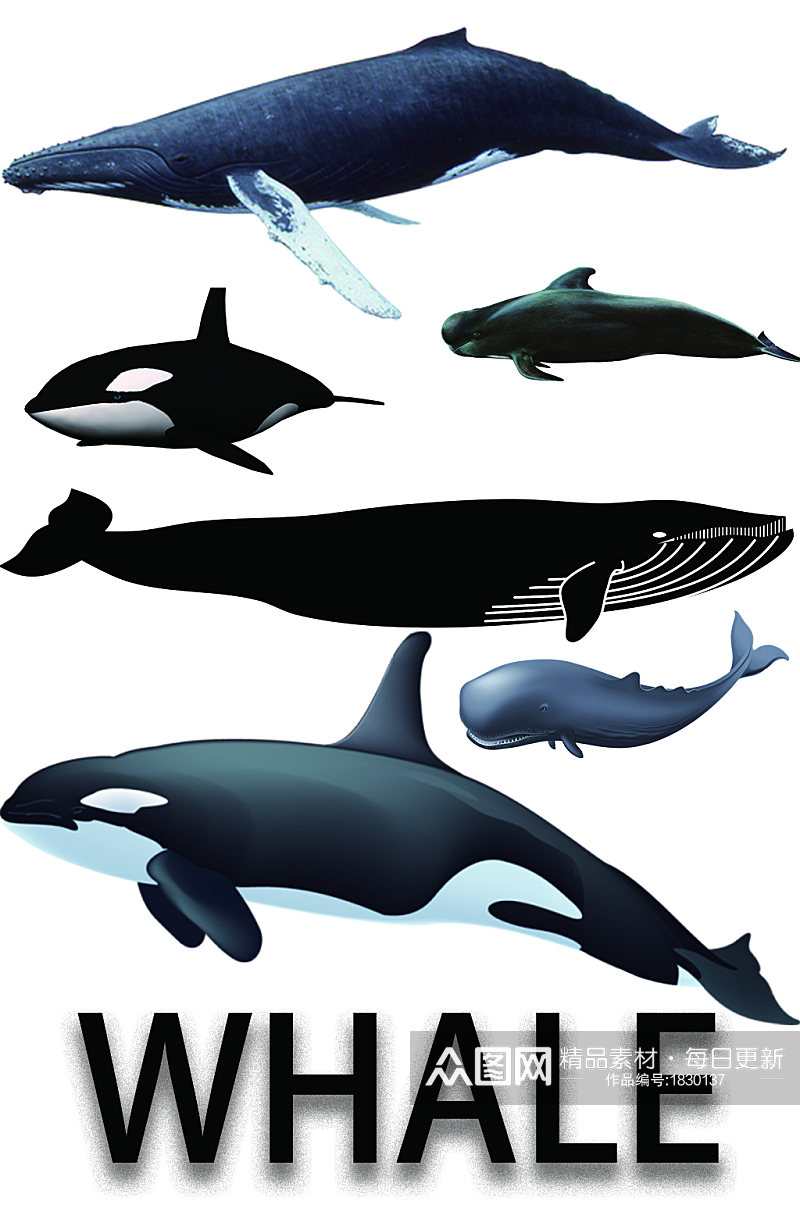 精美动物鲸鱼免扣元素素材