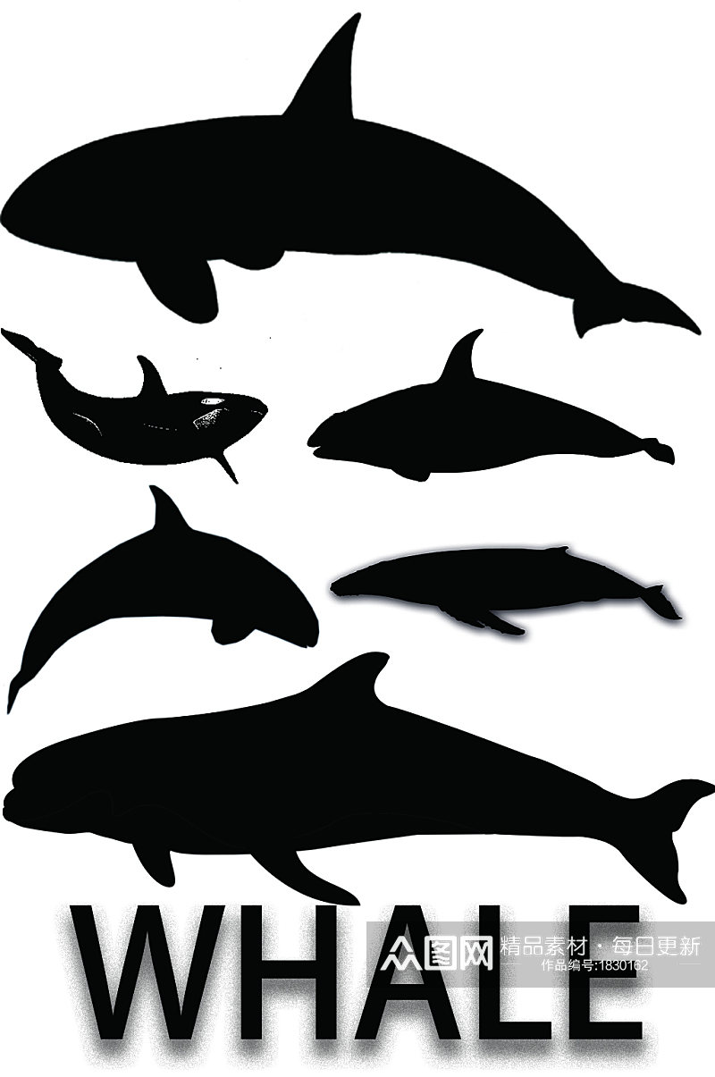 精美动物鲸鱼剪影免扣元素素材