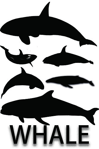精美动物鲸鱼剪影免扣元素