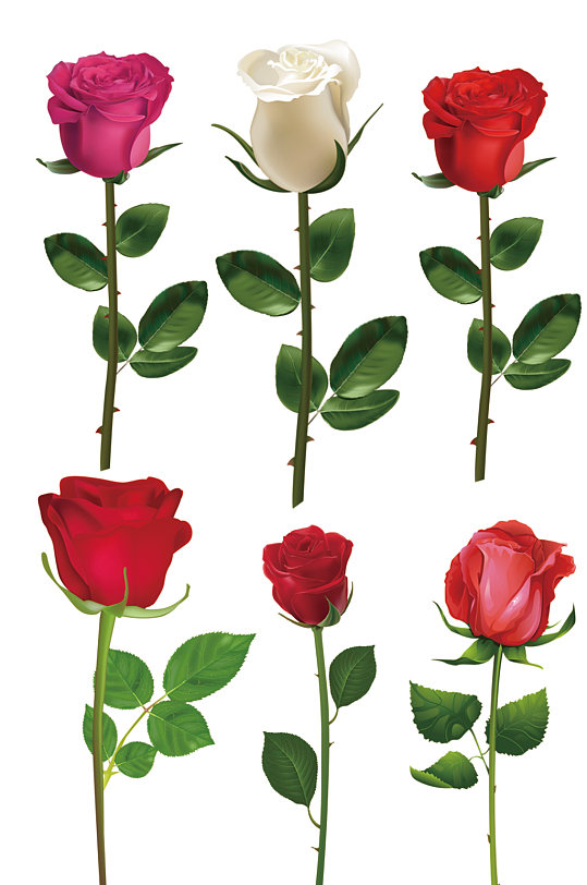 免扣玫瑰花图片-免扣玫瑰花素材下载-众图网