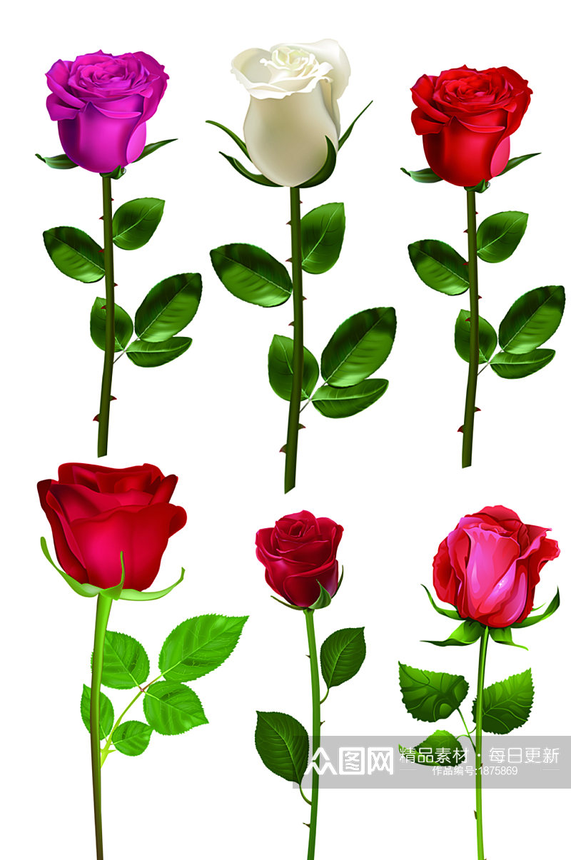 精美花卉免扣元素玫瑰花素材