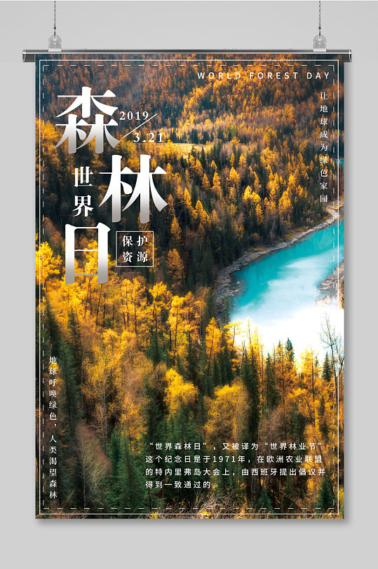大气航拍世界森林日文化宣传展板