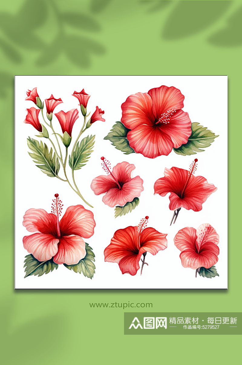 红色手绘花朵花卉素材