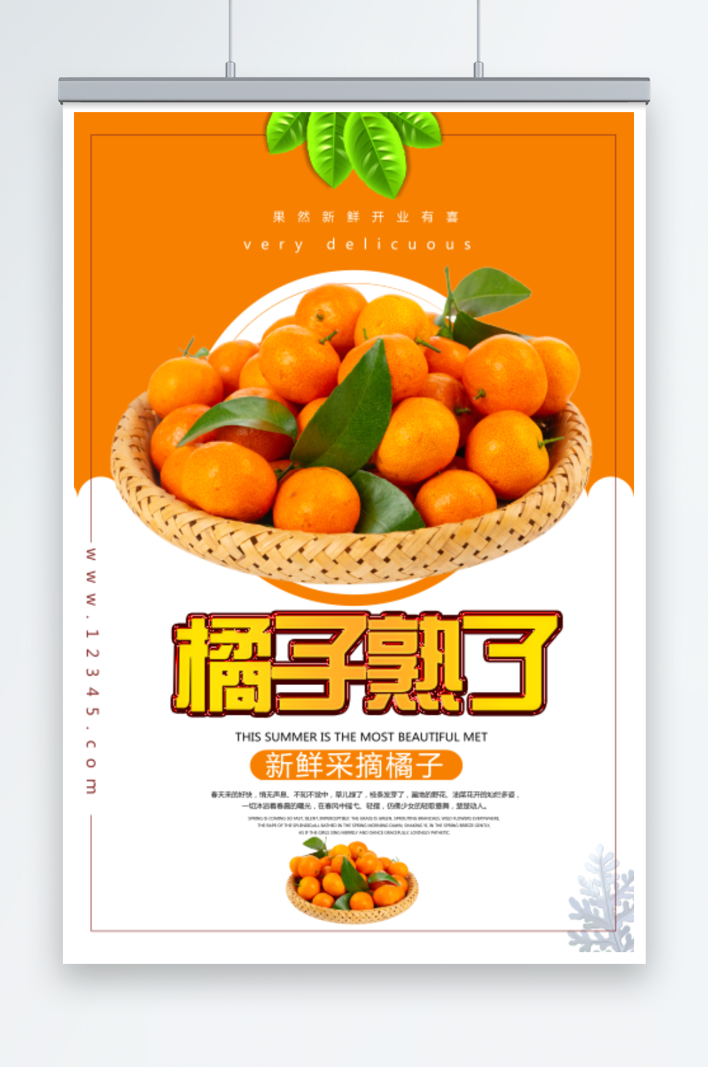 橘子柑橘宣传展板素材