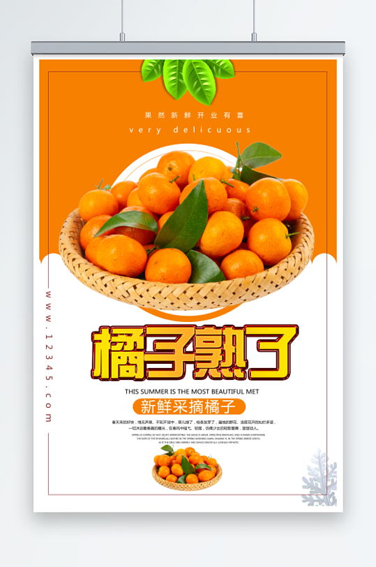 橘子柑橘宣传展板