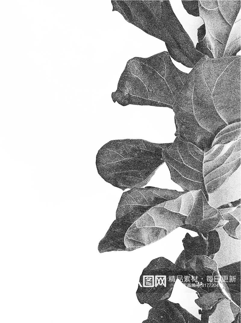 黑白大自然界动植物设计素材