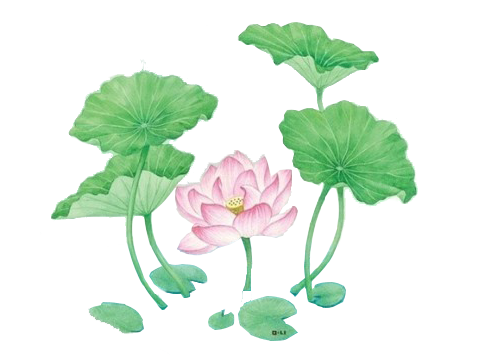 中国风水墨荷花莲花插图清新手绘荷花素材素材