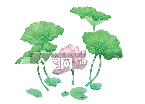 中国风水墨荷花莲花插图清新手绘荷花素材素材